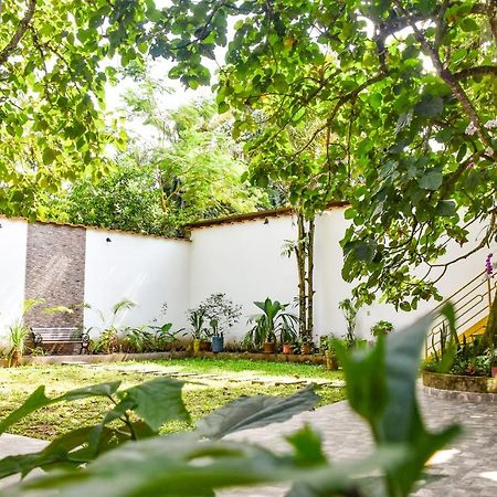 Green House Tarapoto Exterior foto