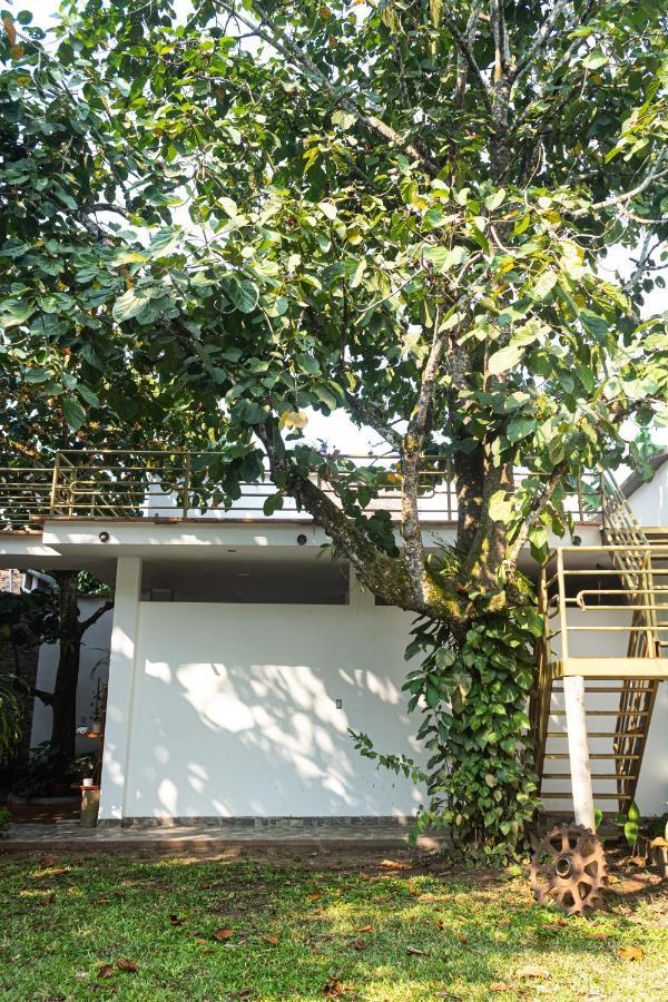 Green House Tarapoto Exterior foto